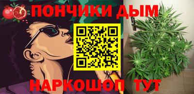 ПСИЛОЦИБИНОВЫЕ ГРИБЫ Коммунар