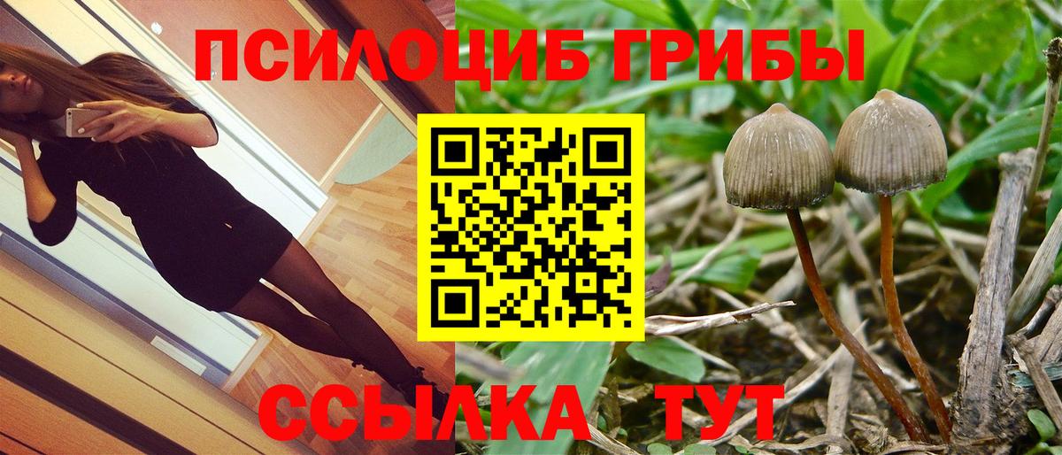 Псилоцибиновые грибы Cubensis Арсеньев