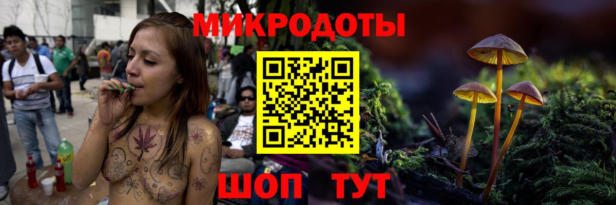 Арсеньев  Псилоцибиновые грибы Psilocybe  Вход с VPN 